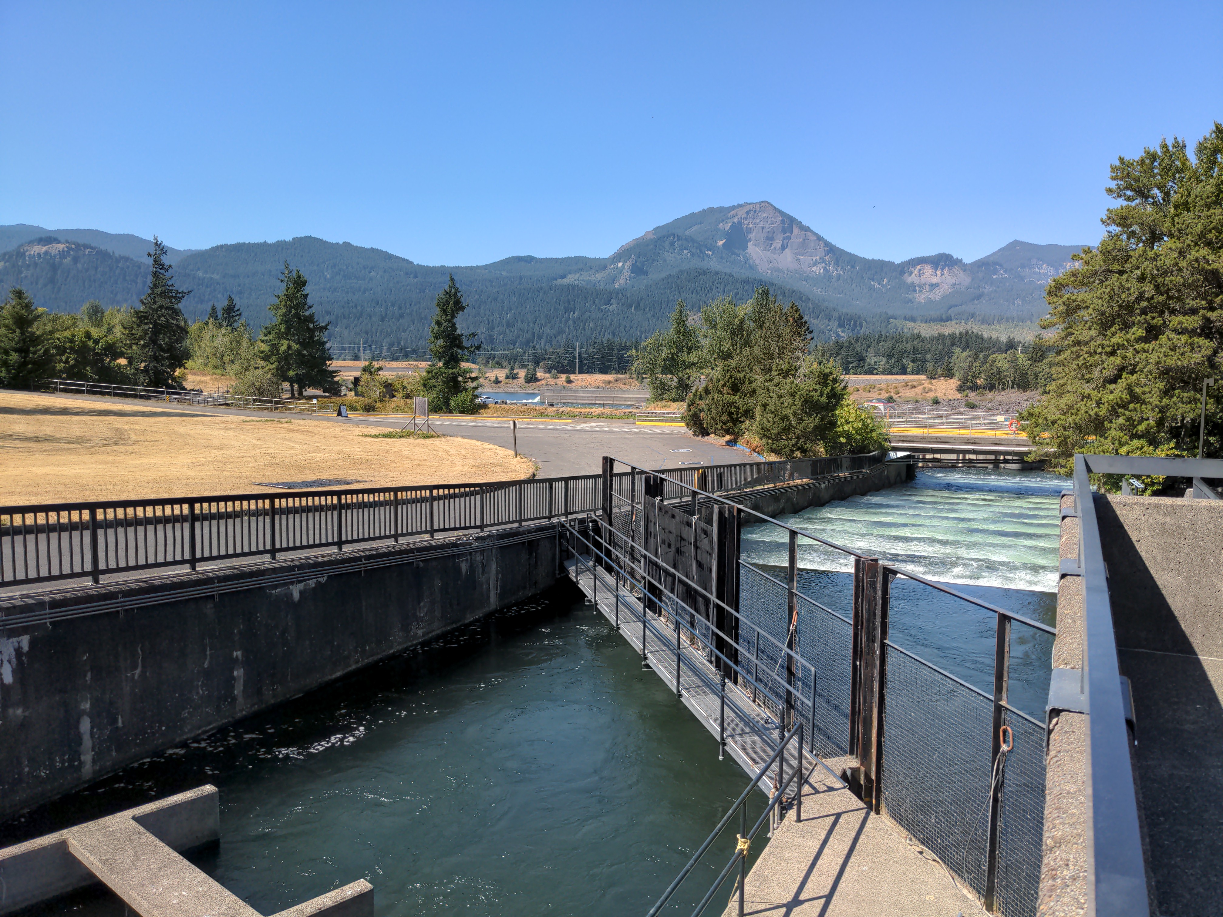 Fish ladder at Bonneville Dam