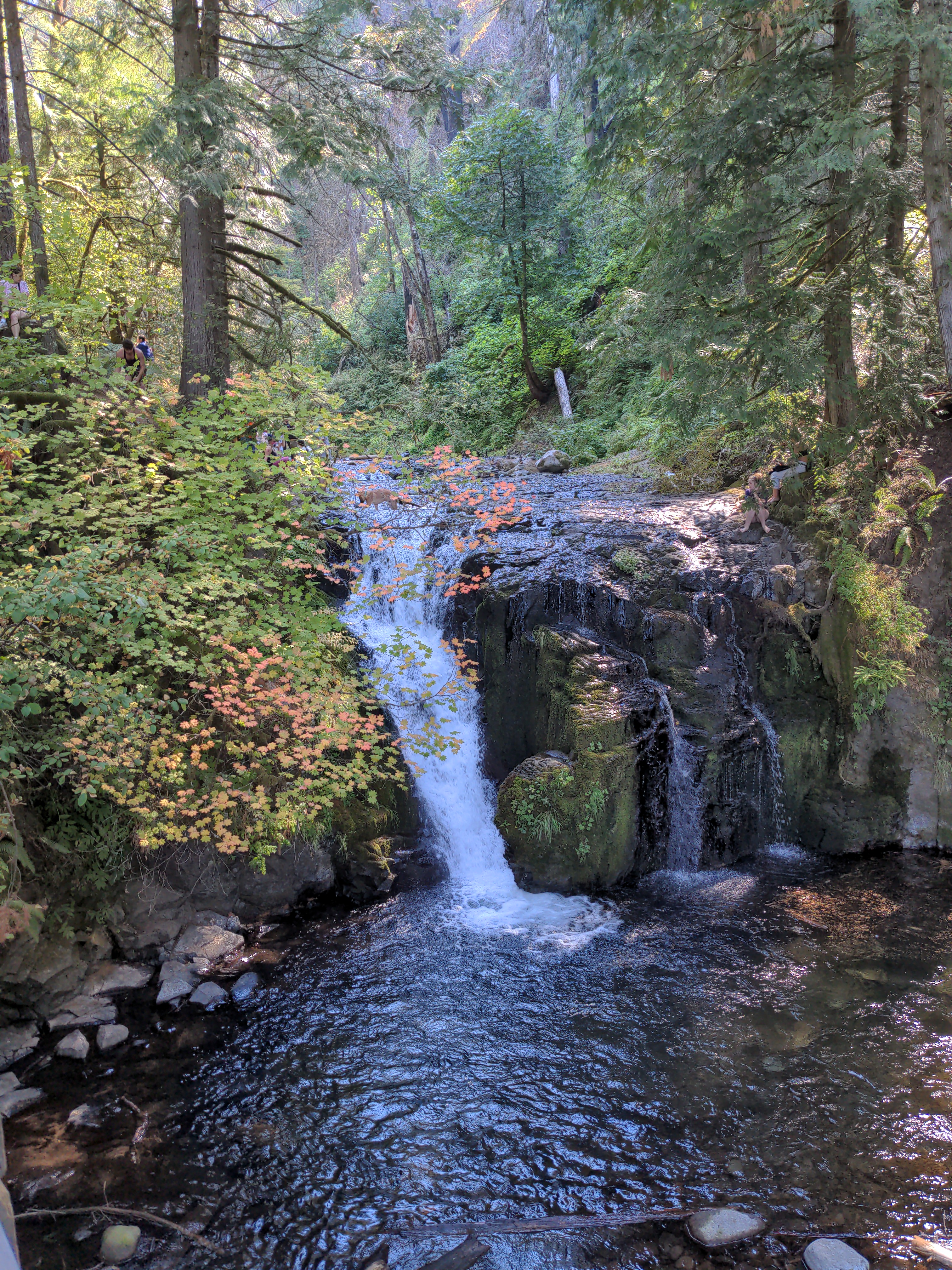 Pool at the top of Multnomah Falls