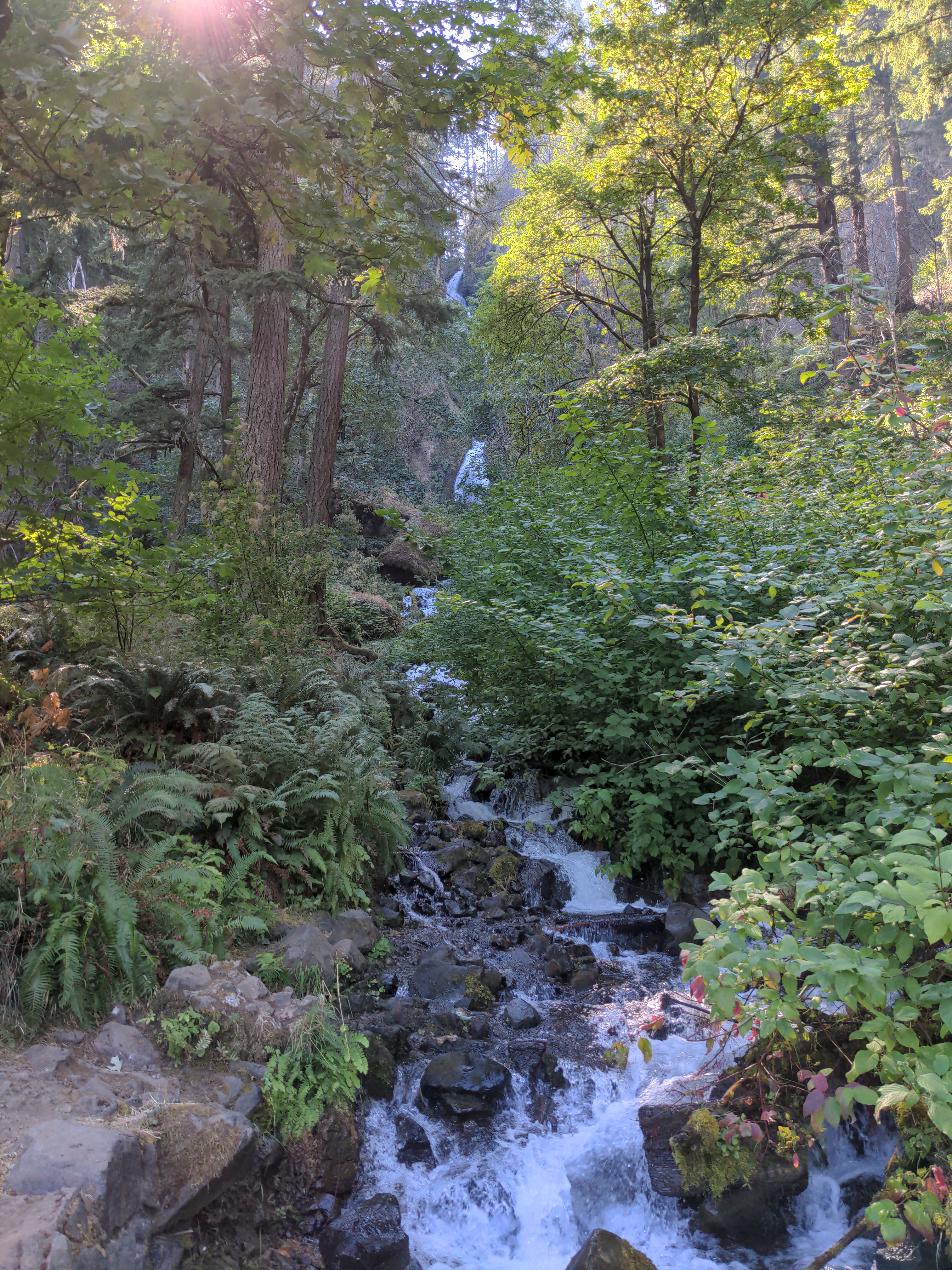 Top of Multnomah Falls